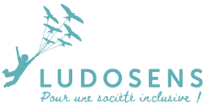 logo ludosens "pour une société inclusive" on voit un enfant qui s'envole porté par un cerf-volant fait d'oiseaux